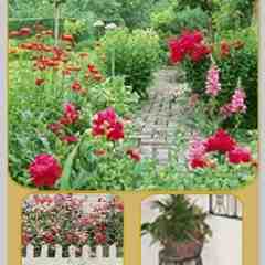 Country Gardens of Easton