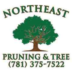 Northeast Pruning & Tree