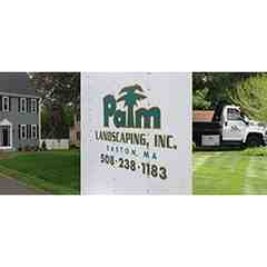 Palm Landscaping
