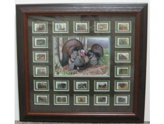 National Wild Turkey Federation Print & Stamps-Framed & Matted