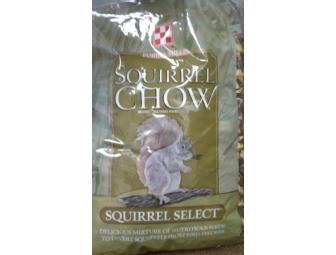 Squirrel Select Chow