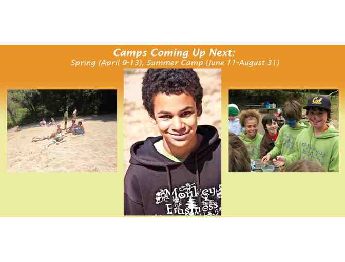 $70 GIFT CERTIFICATE TOWARD 'MONKEY BUSINESS CAMP'