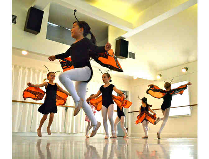 $50 Gift Certificate for Shawl-Anderson Dance Center