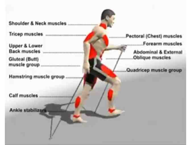 Nordic Walking Adventure in the Berkeley Hills