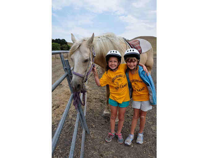 $365 Gift Certificate toward Roughing It Day camp