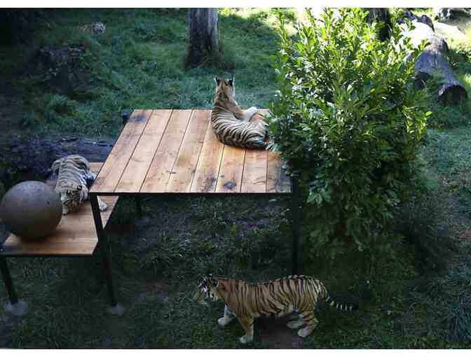 Oakland Zoo Family Pass and Parking!