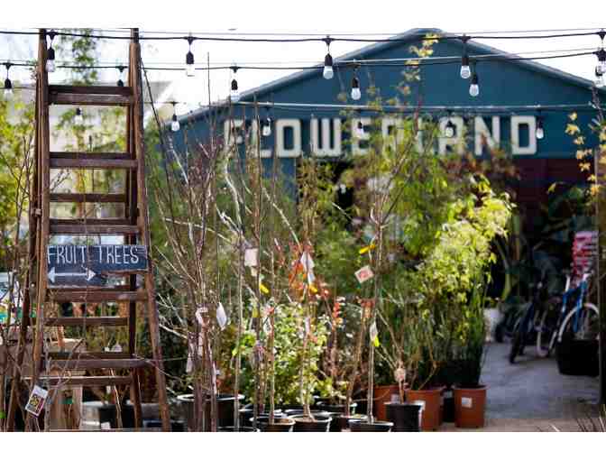$25 Gift Certificate to Flowerland Nursery & Gift Shop