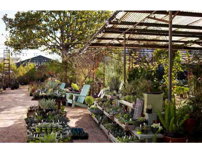 $25 Gift Certificate to Flowerland Nursery & Gift Shop