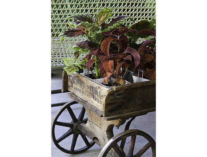 $25 Gift Certificate to Flowerland Nursery & Gift Shop