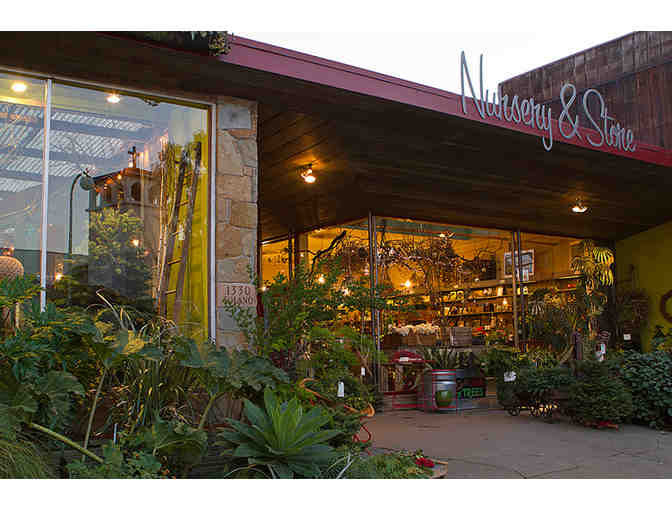 $25 Gift Certificate to Flowerland Nursery & Gift Shop