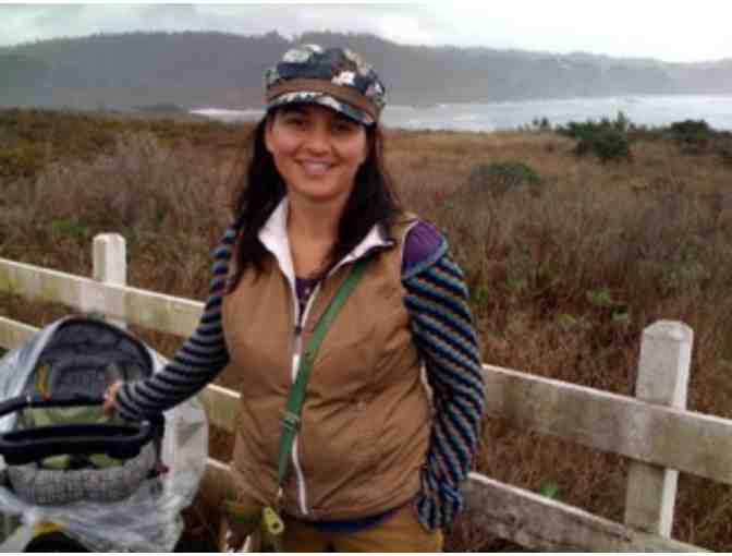 Turkish Baklava- One Tray