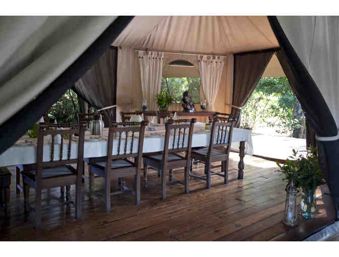 A WEEK IN THE WILD: SAFARI IN KENYA'S MASAI MARA