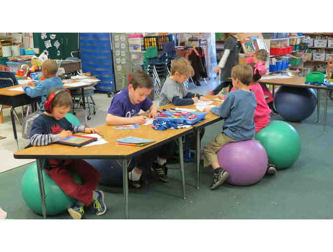 Fund For the Future: $250