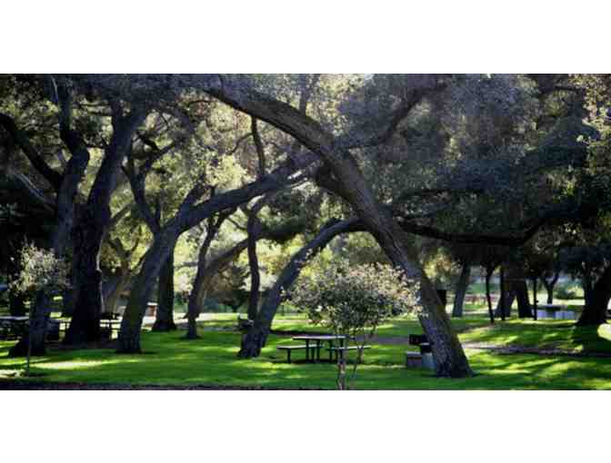 Hot Dog and S'mores Party