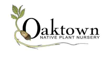 $25 Oaktown Native Plant Nursery