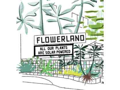 $25 Flowerland Nursery and Store