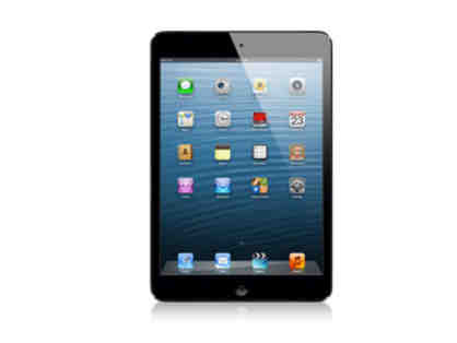 iPad Mini Wi-Fi 16GB black, new