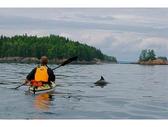 Bay of Fundy Whale Expedition with Marine Mammal Expert, 3 days/2 nights for 2