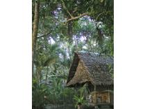 Tropical Pacific Ecolodge Stay & Micronesian Island Exploration, 4 days/3 nights for 2