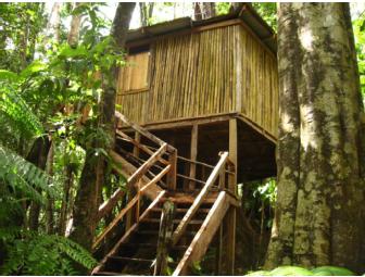 Dominica 3 Rivers & Rosalie Forest Eco-Lodge Package, 7 Days/6 Nights for 2