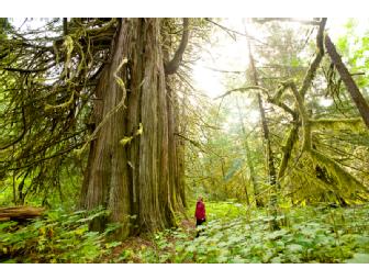 Canadian Lost Coast Wilderness Eco Adventure, 9 days/8 nights for 1