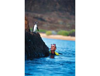 Galapagos Islands with Ecoventura, 8 days/7 nights for 2