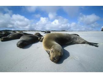 Galapagos Islands with Ecoventura, 8 days/7 nights for 2