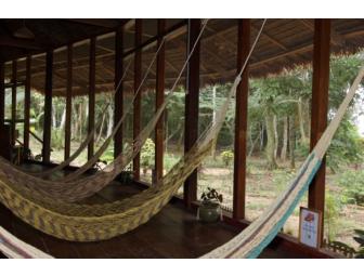 Peru Amazon Rainforest Trip: Sandoval Lake Lodge & Macaw Clay Lick, 5 days/4 nights for 2