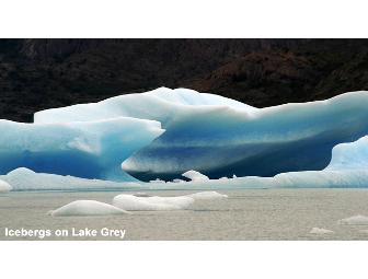 Patagonia Wildlife Safari, 5 days/4 nights for 1