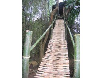 Organic Farm Stay at Hiliya Resort, India, 5 days/4 nights for 2