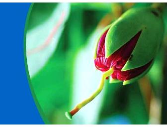 A Tranquil Hideway at Jetwing Kurulubedda, Sri Lanka, 4 days/3 nights for 2