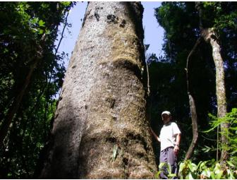 La Cusinga Eco Lodge on the South Pacific Coast of Costa Rica, 5 days/4 nights for 2