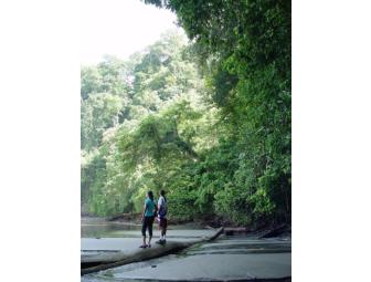 La Cusinga Eco Lodge on the South Pacific Coast of Costa Rica, 5 days/4 nights for 2