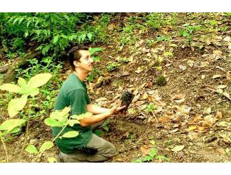 Sustainable Weekend Getaway: Arenas del Mar Nature & Beach Resort, 3 days/2 nights for 2