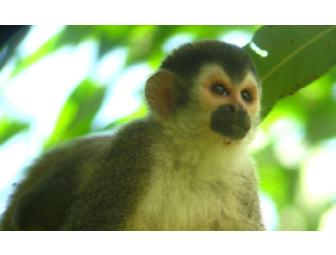 Sustainable Weekend Getaway: Arenas del Mar Nature & Beach Resort, 3 days/2 nights for 2