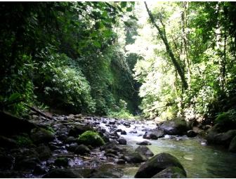 Finca Luna Nueva Lodge - Costa Rica Rainforest Retreat, 4 days/3 nights for 2