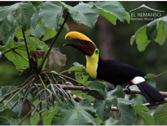 Costa Rica Ecolodge Package: Coffee, Rainforest & Adventure, 10 days/9 nights for 2