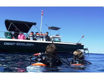 Hawaii Eco Boat Dive Trip (Item #2)