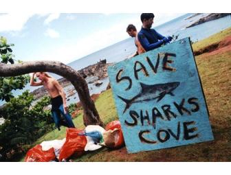 Hawaii Eco Boat Dive Trip (Item #2)