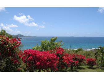 10 Nights for 2 on USVI's Water Island