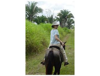 Belize 4 Nights for 2 at Hamanasi Dive & Adventure Resort