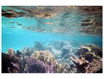 Belize 4 Nights for 2 at Hamanasi Dive & Adventure Resort