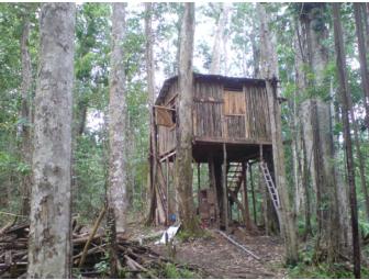 Dominica Rosalie Forest 6 Night Package for 2