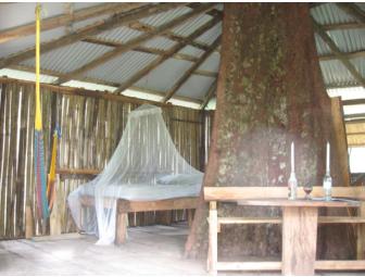 Dominica Rosalie Forest 6 Night Package for 2