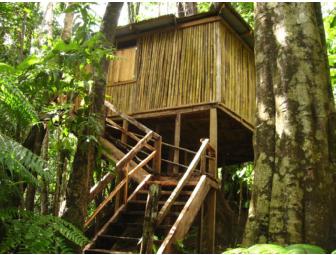 Dominica Rosalie Forest 6 Night Package for 2