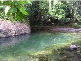 Dominica Rosalie Forest 6 Night Package for 2