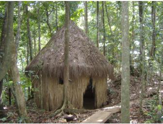 Dominica Rosalie Forest 6 Night Package for 2