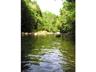 Dominica Rosalie Forest 6 Night Package for 2