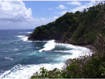 Dominica Rosalie Forest 6 Night Package for 2