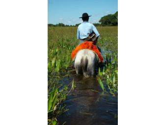 5 Day Pantanal Experience on Horseback for one